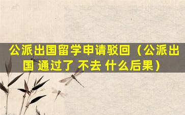 公派出国留学申请驳回（公派出国 通过了 不去 什么后果）